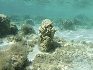 海洋简史9
