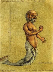 《海的女儿》：人鱼的诱惑3