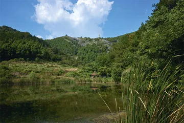 酒隐安陆：何意栖碧山