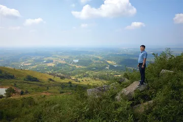 酒隐安陆：何意栖碧山3
