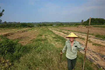 酒隐安陆：何意栖碧山6