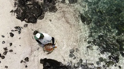 为什么要设立海洋保护区？1