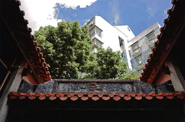 白芒村风波：深圳“统租”实验2