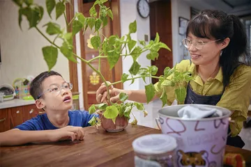 从观察一棵树开始，探索身边的自然6