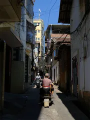 第二章：两个家族3