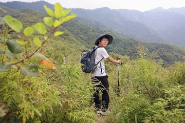 观蝶：翅膀下的世界1