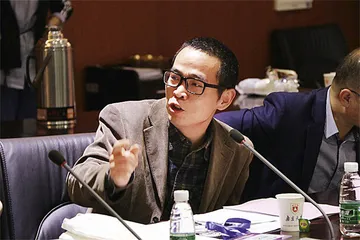 主题公园：奇观与替代补偿1