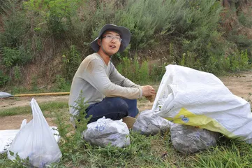 如果石头会说话1