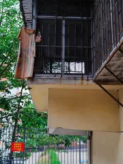 第八章：弑母1