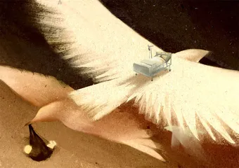 人生最后一程，如何走得安宁？1