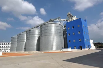 造肉工厂：一只鸡的38天4