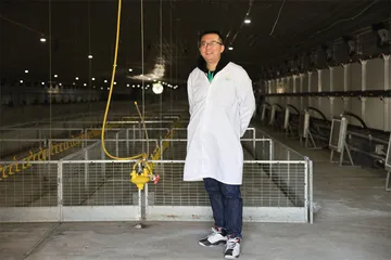 造肉工厂：一只鸡的38天7