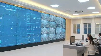白羽鸡育种记2