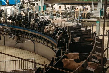 飞鹤奶粉：乳企产业链的扩张2