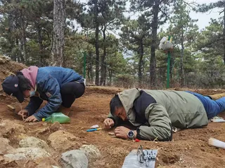 红山：以玉为器，找寻宇宙的秩序2