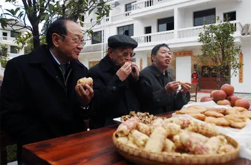 老师厉以宁：缓缓的宽流4