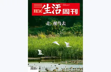 往期精选 | 生活的细节与乐趣2