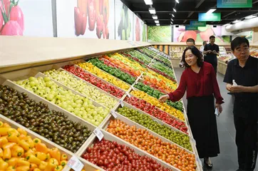 种业问题：农业的“芯片”问题1