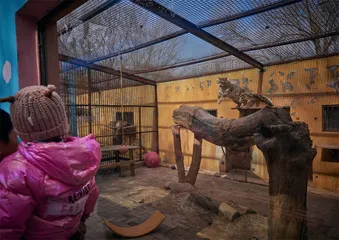 一家“网红动物园”的成长史