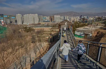 一家“网红动物园”的成长史6