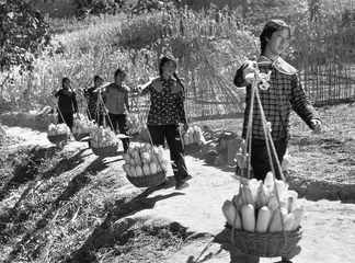 什么是“女性主义”5