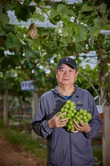 宾川县，水果产业集群的诞生1