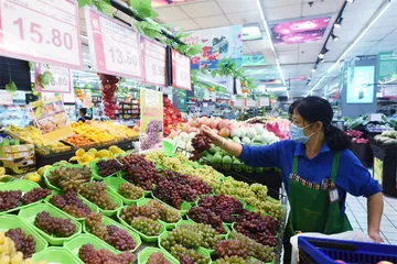 宾川县，水果产业集群的诞生2