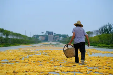 运城盐湖，九分天下盐3