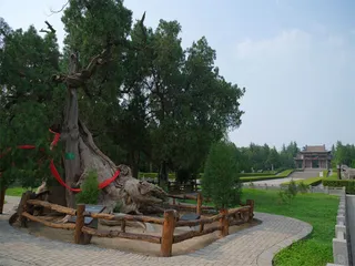 运城盐湖，九分天下盐4