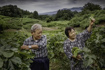 家在奥羽地方：属于日本东北的返乡故事