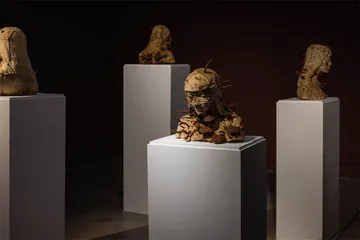 蘑菇，及其隐秘的艺术语言