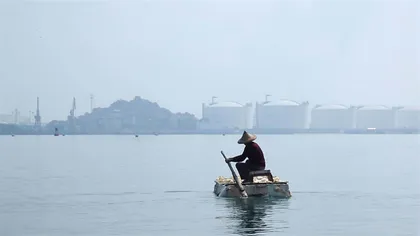 蘑菇，及其隐秘的艺术语言1