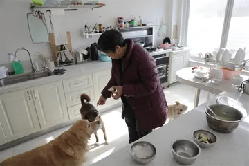 他们选择这样老去3