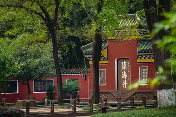 那些成都的精神地标3