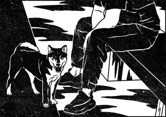 柴犬面条