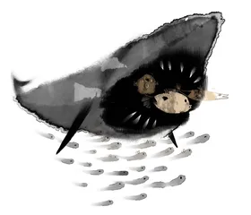 消费·理财（1211）2