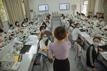 番职院：产业与职教的互相哺育6