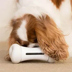 宠物智能玩具