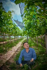 阳光玫瑰，农民如何掌握定价权1