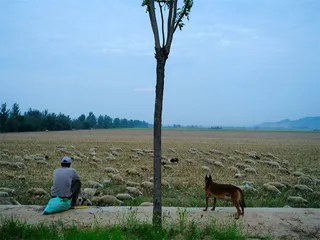 最美黄河2