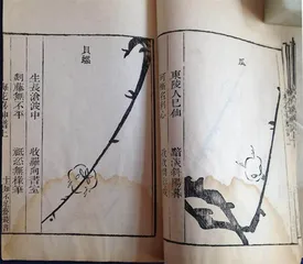 知不足斋1