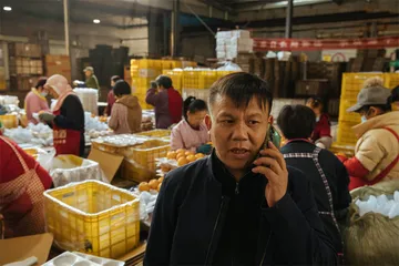 莱阳梨的工业化之路5