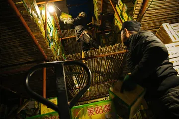 莱阳梨的工业化之路6