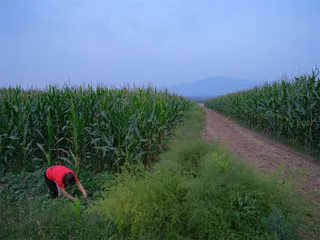 在汾渭盆地，寻找文明产生的桃花源9