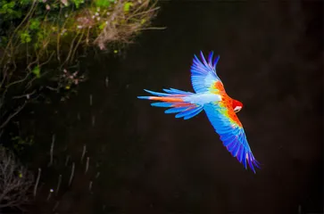 好消息·坏消息（1206）3