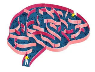 我的数学成长