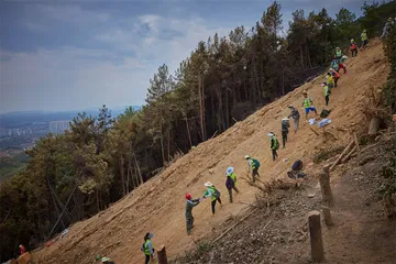 2022年之夏：重庆山火1