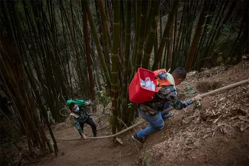 2022年之夏：重庆山火6
