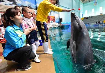 “穿越旷野”：大龄孤独症人群生存现状调查