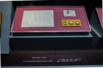 红星的荣耀：共和国的功勋荣典史11